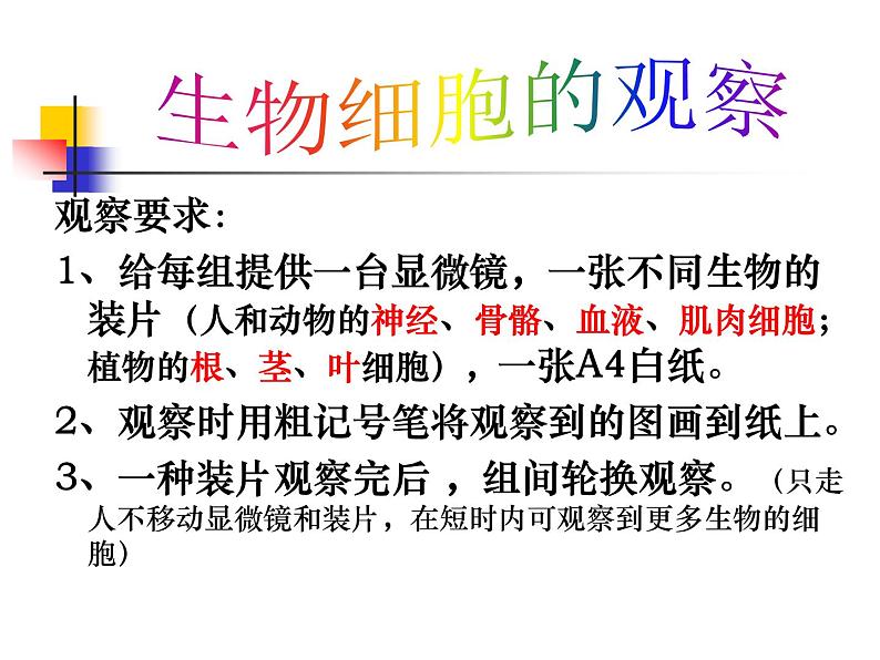 教科版科学六年级下册 1.6 用显微镜观察身边的生命世界(二)（课件）03