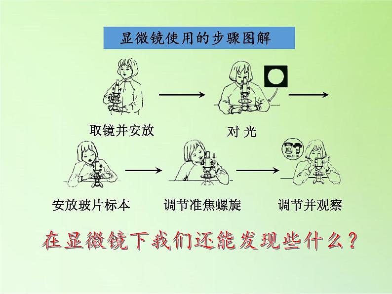 教科版科学六年级下册 1.6 用显微镜观察身边的生命世界（二）(3)（课件）03