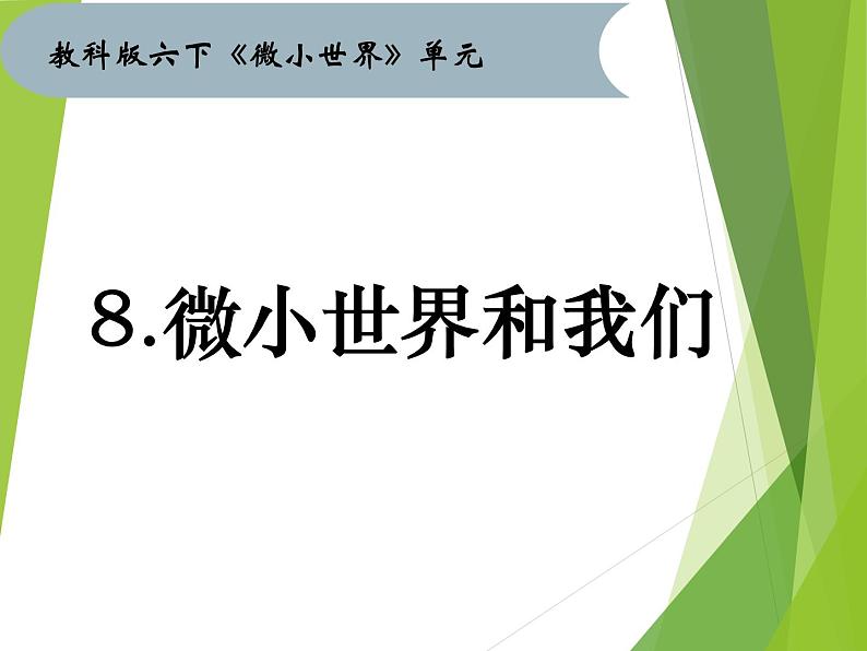 教科版科学六年级下册 1.8 微小世界和我们（课件）01