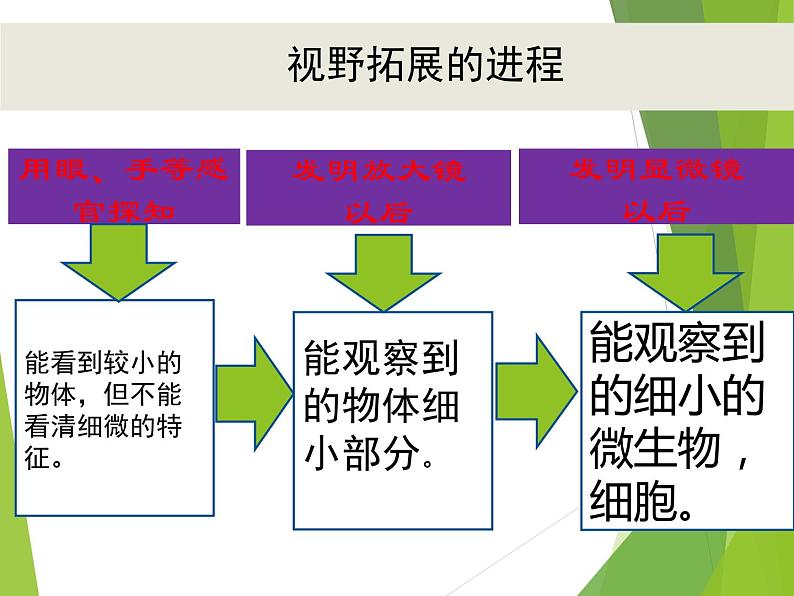 教科版科学六年级下册 1.8 微小世界和我们（课件）04