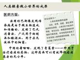 教科版科学六年级下册 1.8 微小世界和我们（课件）