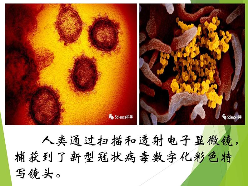 教科版科学六年级下册 1.8 微小世界和我们（课件）06