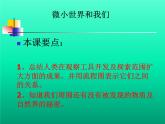 教科版科学六年级下册 1.8 微小世界和我们(2)（课件）