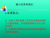 教科版科学六年级下册 1.8 微小世界和我们(2)（课件）