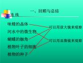 教科版科学六年级下册 1.8 微小世界和我们(2)（课件）