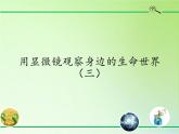 教科版科学六年级下册 1.7 用显微镜观察身边的生命世界（三）(4)（课件）