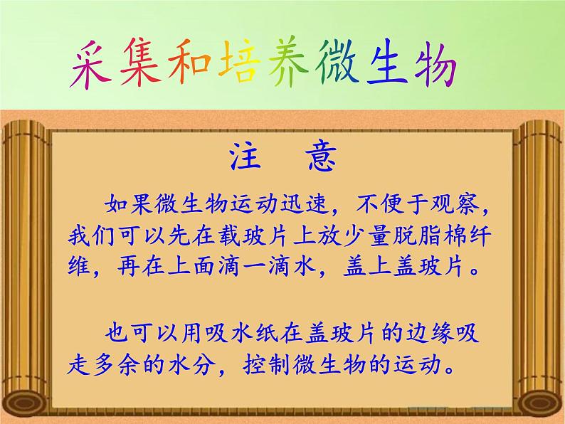 教科版科学六年级下册 1.7 用显微镜观察身边的生命世界（三）(2)（课件）第4页