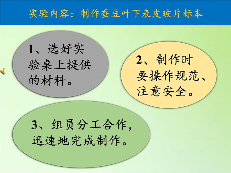 教科版科学六年级下册 1.6 用显微镜观察身边的生命世界（二）（课件）第5页