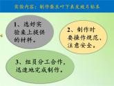 教科版科学六年级下册 1.6 用显微镜观察身边的生命世界（二）（课件）