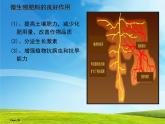 教科版科学六年级下册 1.8 微小世界和我们(9)（课件）