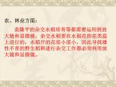 教科版科學六年級下冊 1.8 《微小世界和我們 (1)（課件）