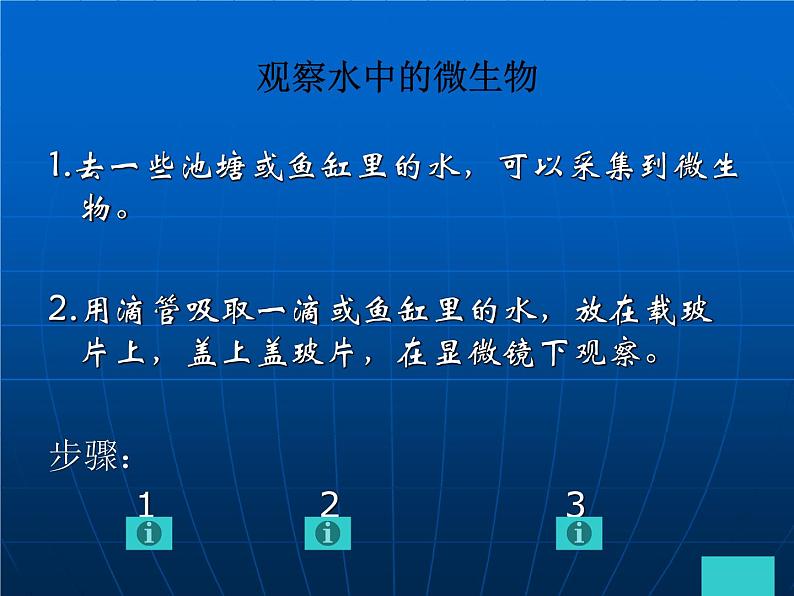 教科版科学六年级下册 1.7 用显微镜观察身边的生命世界（三）_(1)（课件）02