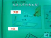 教科版科学六年级下册 1.7 用显微镜观察身边的生命世界（三）_(1)（课件）