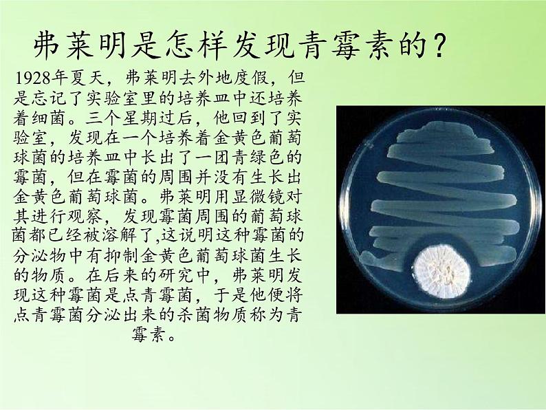 教科版科学六年级下册 1.8 微小世界和我们(6)（课件）04