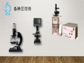 教科版科學六年級下冊 1.8 微小世界和我們（課件）
