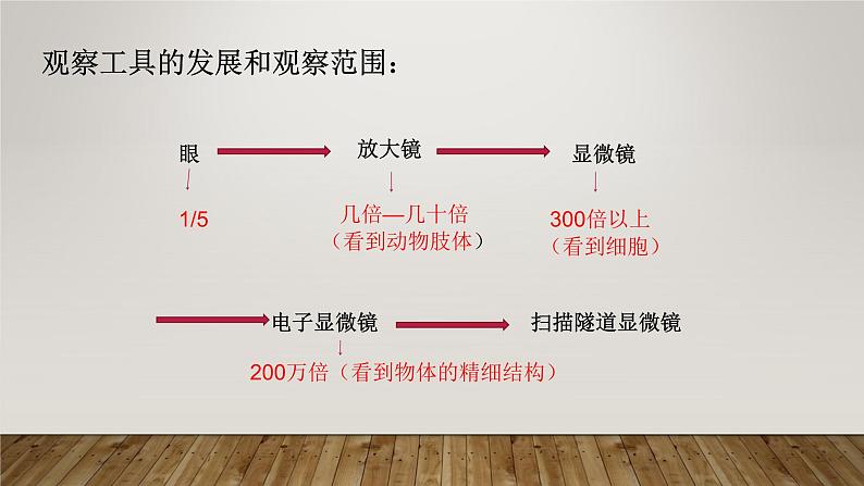 教科版科学六年级下册 1.8 微小世界和我们（课件）第6页