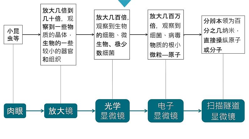 教科版科学六年级下册 1.8 微小世界和我们(1)（课件）第6页