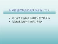 科学六年级下册7、用显微镜观察身边的生命世界（三）背景图ppt课件