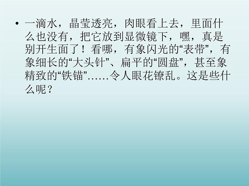 教科版科学六年级下册 1.7 用显微镜观察身边的生命世界（三）_（课件）02