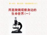 教科版科学六年级下册 1.5 用显微镜观察身边的生命世界（一）（课件）