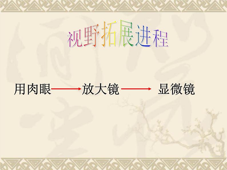 教科版科学六年级下册 1.8 微小世界和我们（课件）第2页
