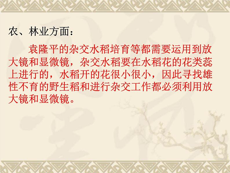 教科版科学六年级下册 1.8 微小世界和我们（课件）第6页
