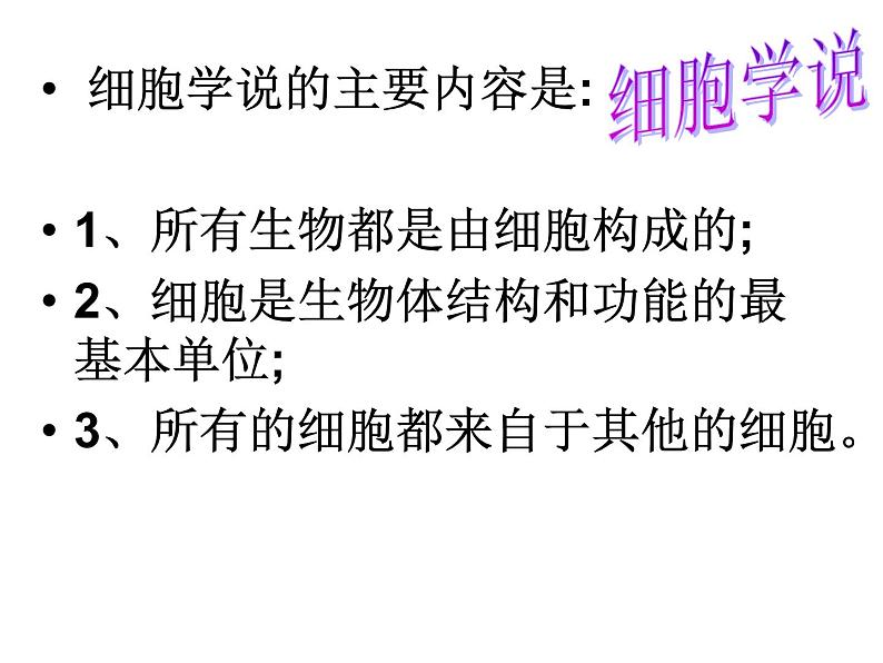 教科版科学六年级下册 1.6 用显微镜观察身边的生命世界(二)（课件）08