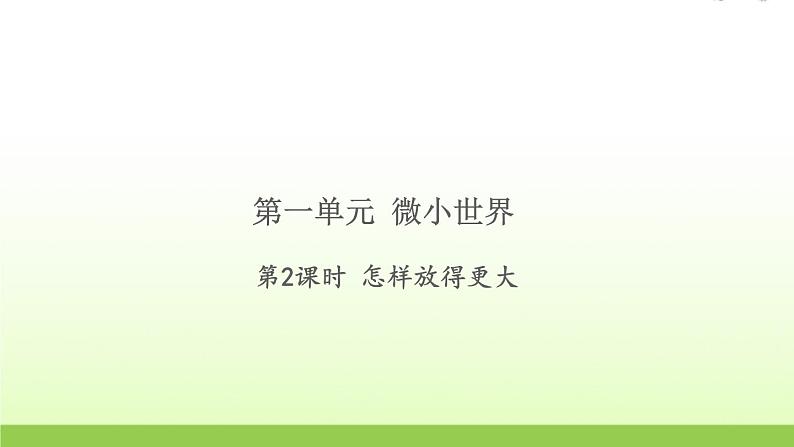 教科版 六年级科学上册第一单元微小世界2怎样放得更大 习题课件01