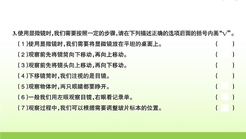 教科版 六年级科学上册第一单元微小世界3观察身边微小的物体 习题课件03