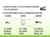 教科版 六年级科学上册第一单元微小世界3观察身边微小的物体 习题课件