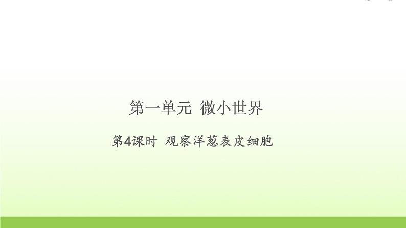 教科版 六年级科学上册第一单元微小世界4观察洋葱表皮细胞 习题课件01