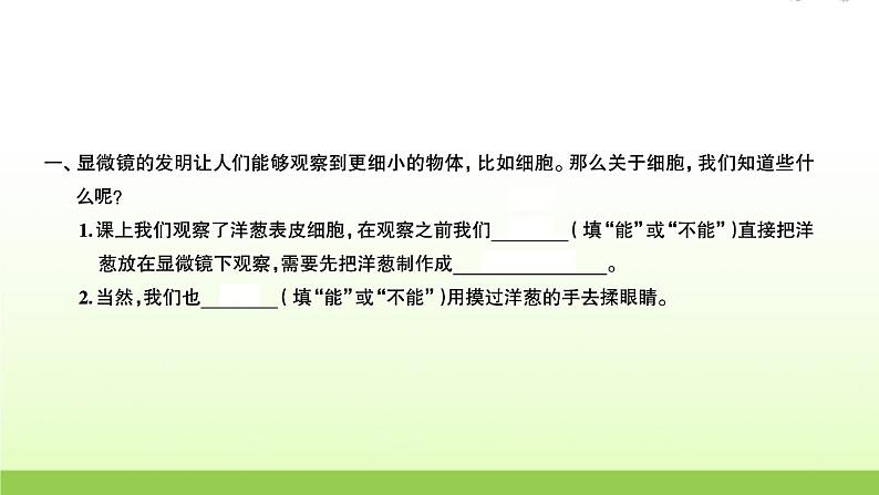 教科版 六年级科学上册第一单元微小世界4观察洋葱表皮细胞 习题课件02