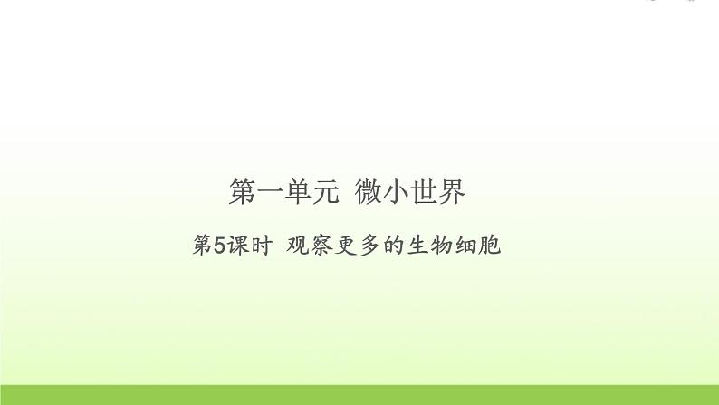 教科版 六年级科学上册第一单元微小世界5观察更多的生物细胞 习题课件第1页