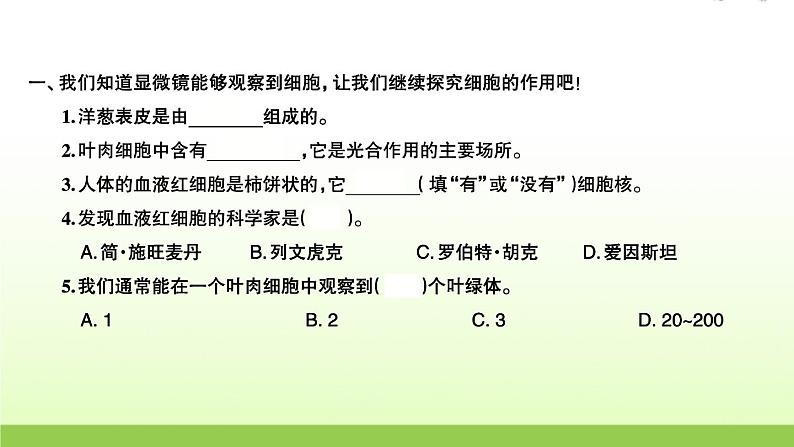 教科版 六年级科学上册第一单元微小世界5观察更多的生物细胞 习题课件第2页