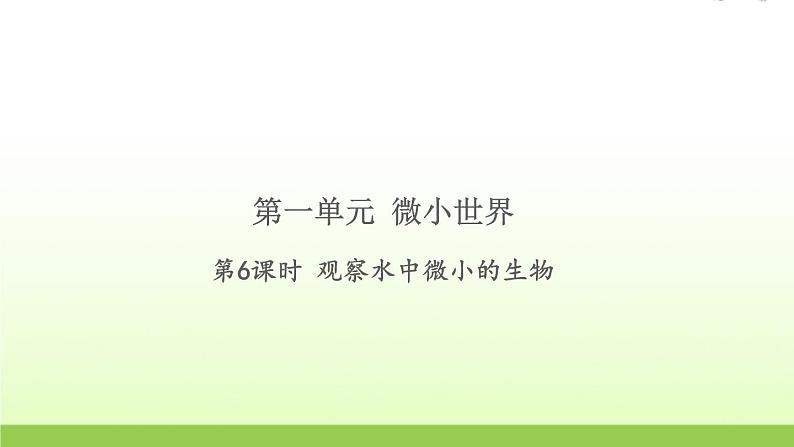 教科版 六年级科学上册第一单元微小世界6观察水中微小的生物 习题课件第1页