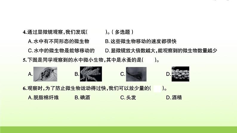 教科版 六年级科学上册第一单元微小世界6观察水中微小的生物 习题课件第3页