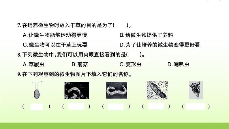 教科版 六年级科学上册第一单元微小世界6观察水中微小的生物 习题课件第4页