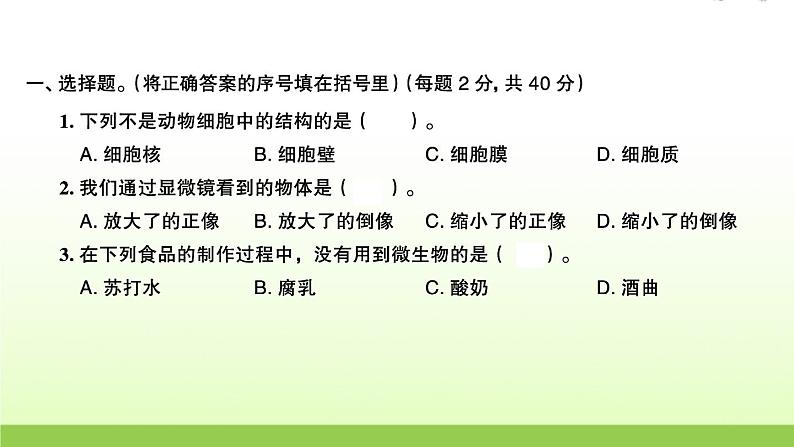 教科版 六年级科学上册第一单元微小世界检测卷 作业课件02