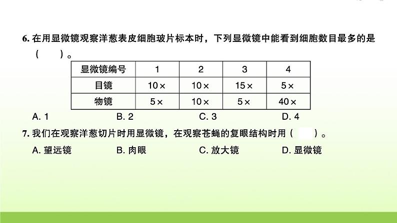 教科版 六年级科学上册第一单元微小世界检测卷 作业课件04