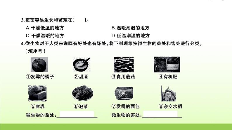 教科版 六年级科学上册第一单元微小世界 7微生物与健康 习题课件03