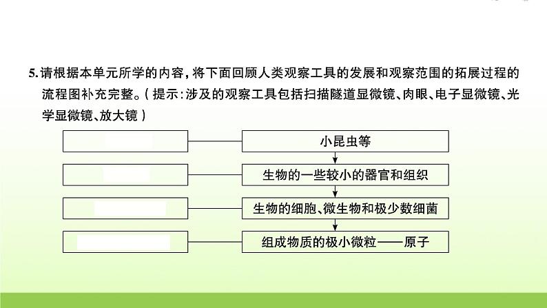 教科版 六年级科学上册第一单元微小世界 7微生物与健康 习题课件04