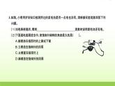 教科版 六年级科学上册第四单元能量3电和磁 习题课件