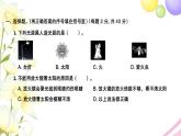 五年级科学上学期期中检测卷作业课件教科版