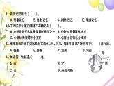 教科版 五年级科学上学期期末检测卷 作业课件