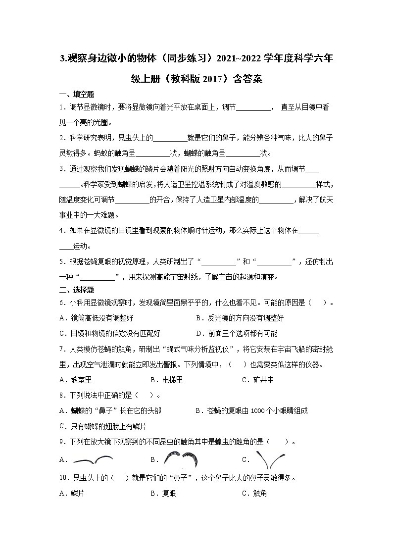 （教科版2017）科学六年级上册1.3.观察身边微小的物体（同步练习） 含答案01