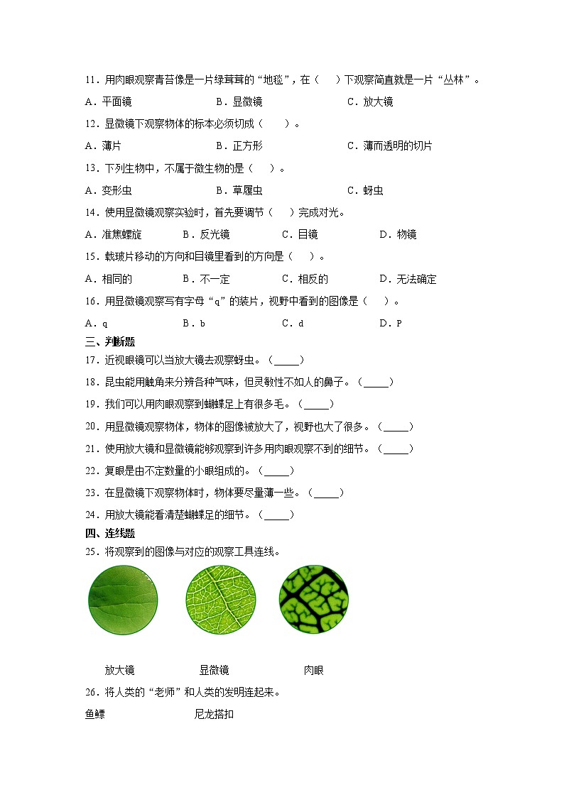（教科版2017）科学六年级上册1.3.观察身边微小的物体（同步练习） 含答案02