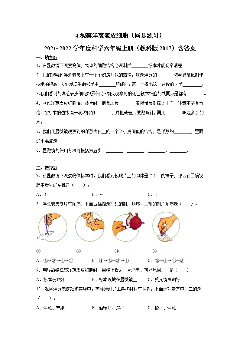 （教科版2017）科学六年级上册1.4.观察洋葱表皮细胞（同步练习） 含答案01