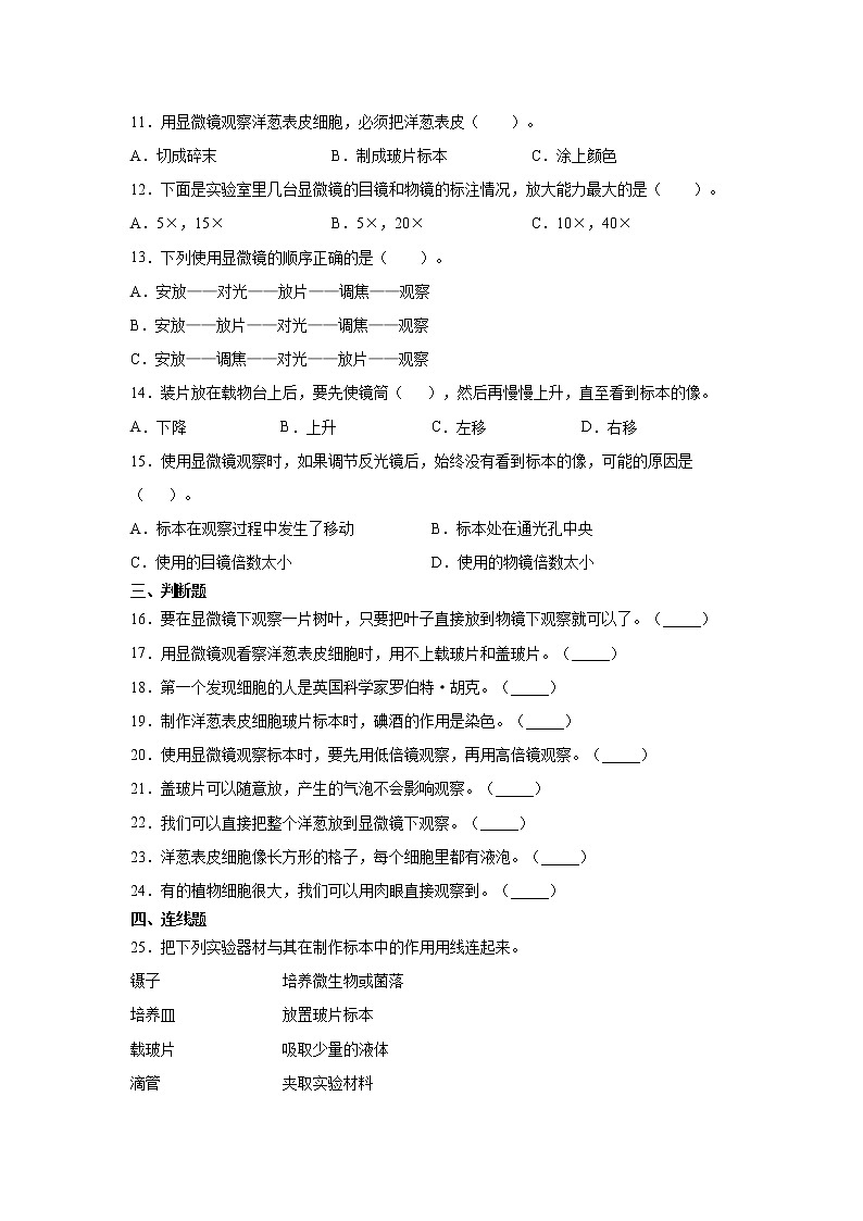 （教科版2017）科学六年级上册1.4.观察洋葱表皮细胞（同步练习） 含答案02