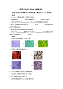 教科版 (2017)六年级上册5.观察更多的生物细胞练习