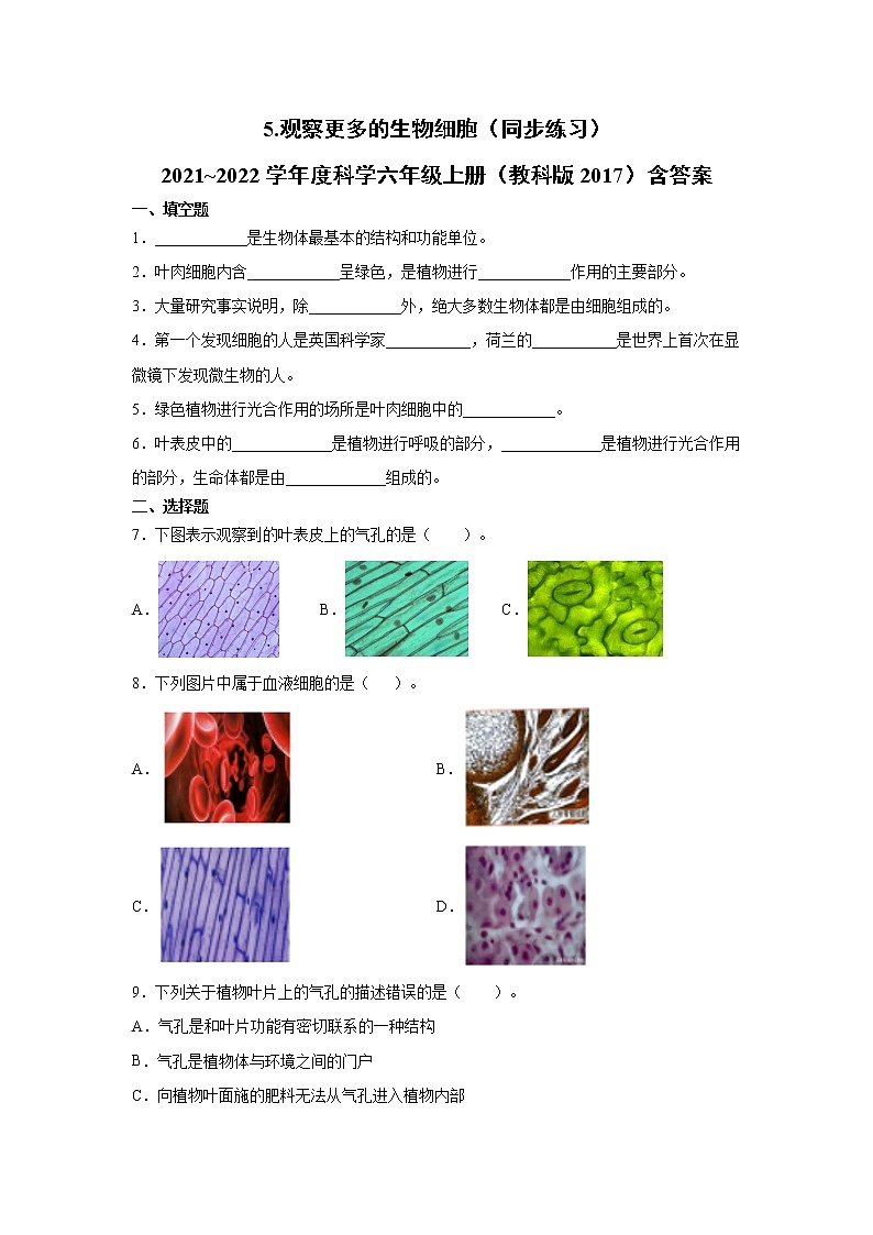 （教科版2017）科学六年级上册1.5.观察更多的生物细胞（同步练习） 含答案01